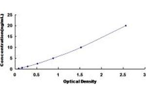 Typical standard curve (Syncoilin ELISA 试剂盒)