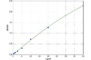 A typical standard curve (RCN1 ELISA 试剂盒)