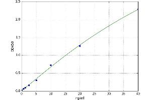 Reticulocalbin 1, EF-Hand Calcium Binding Domain (RCN1) ELISA Kit