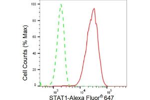Flow cytometric analysis of STAT1 expression in HeLa cells using STAT1 antibody (ABIN7800336), 1:2,000). (Recombinant STAT1 抗体)