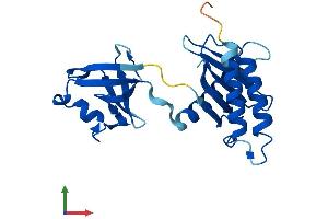Protein Structure (PS) image for Trafficking Protein Particle Complex 4 (TRAPPC4) (AA 1-219) protein (His tag) (ABIN7544732)
