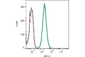 Cell surface detection of KCNK13 by indirect flow cytometry in live intact mouse  microglia cell line: + goat-anti-rabbit-APC.