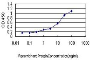 Detection limit for recombinant GST tagged APPBP1 is approximately 0.