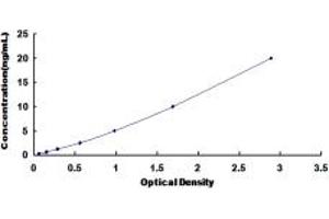 Typical standard curve (CD11b ELISA 试剂盒)