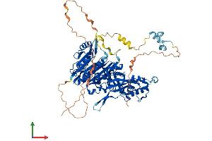 Protein Structure (PS) image for tRNA Methyltransferase 1 (TRMT1) (AA 1-663) protein (His tag) (ABIN7557098)