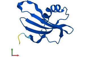 Protein Structure (PS) image for Cystatin B (Stefin B) (CSTB) (AA 1-98) protein (His tag) (ABIN7557793)