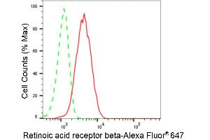 Flow cytometric analysis of Retinoic acid receptor beta expression in HeLa cells using Retinoic acid receptor beta antibody (ABIN7800190), 1:2,000). (Recombinant Retinoic Acid Receptor beta 抗体)