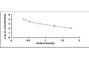 Typical standard curve