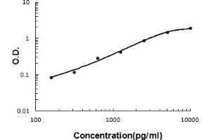 Sandwich ELISA - Recombinant human Angiopoietin-2 protein standard curve.