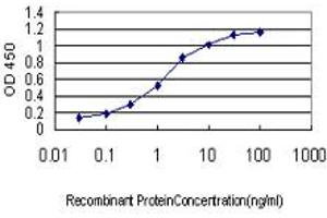 Detection limit for recombinant GST tagged ING1 is approximately 0. (ING1 抗体  (AA 41-140))