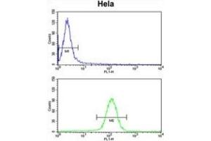 Flow Cytometry (FACS) image for anti-Ubiquitin-Like, Containing PHD and RING Finger Domains, 1 (UHRF1) antibody (ABIN3003938) (UHRF1 抗体)
