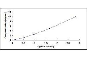 Typical standard curve (TRF1 ELISA 试剂盒)
