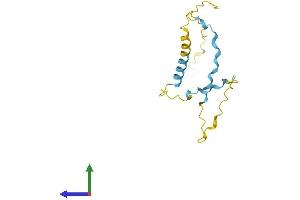 Protein Structure (PS) image for Proline Rich 13 (PRR13) (AA 1-148) protein (His tag) (ABIN7550993)