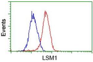 Image no. 2 for anti-LSM1 Homolog, U6 Small Nuclear RNA Associated (LSM1) (AA 1-133) antibody (ABIN1490575)