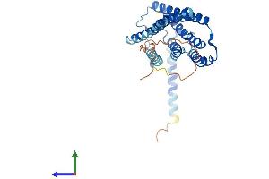 Protein Structure (PS) image for ELOVL Fatty Acid Elongase 4 (ELOVL4) (AA 1-314) protein (His tag) (ABIN7553797)