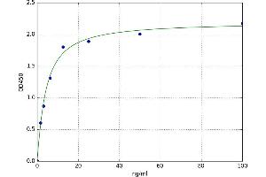 A typical standard curve (GAD ELISA 试剂盒)