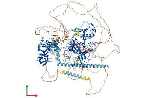 AlphaFold protein structure predicition of Human Recombinant SETDB1 Protein, UniprotID Q15047