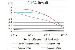 Red: Control Antigen (100ng) ; Purple: Antigen (10ng) ; Green: Antigen (50ng) ; Blue: Antigen (100ng). (DLL4 抗体)