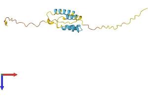 CPI-17 Protein (AA 1-147) (His tag)