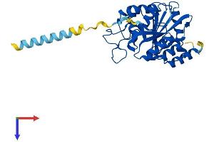 B3GALT5 Protein (AA 1-308) (His tag)