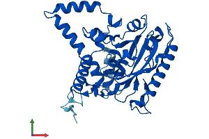 AlphaFold protein structure predicition of Mouse Recombinant Mogat2 Protein, UniprotID Q80W94