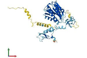 Protein Structure (PS) image for General Transcription Factor IIH, Polypeptide 2, 44kDa (GTF2H2) (AA 1-396) protein (His tag) (ABIN7561542)