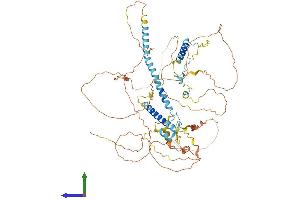Protein Structure (PS) image for Ring Finger Protein 169 (RNF169) (AA 1-708) protein (His tag) (ABIN7555239)