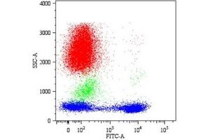 Flow Cytometry (FACS) image for anti-CD5 (CD5) antibody (ABIN238398) (CD5 抗体)