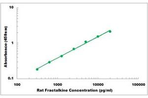 Representative Standard Curve (CX3CL1 ELISA 试剂盒)