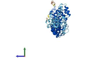 Protein Structure (PS) image for Ankyrin Repeat and SOCS Box-Containing 3 (ASB3) (AA 1-518) protein (His tag) (ABIN7552328)