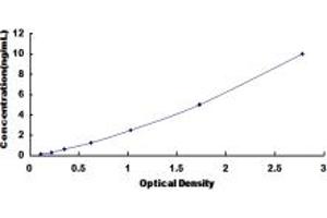 Typical standard curve (SDHC ELISA 试剂盒)