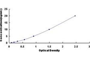 Typical standard curve (TAF13 ELISA 试剂盒)