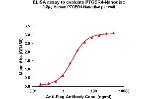 ELISA image for Prostaglandin E Receptor 4 (Subtype EP4) (PTGER4) protein (ABIN7491721)
