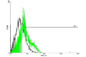 FACS analysis of negative control 293 cells (Black) and GPRC5D expressing 293 cells (Green) using GPRC5D purified MaxPab mouse polyclonal antibody.
