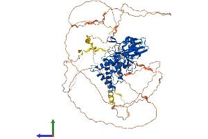 Protein Structure (PS) image for Protein Tyrosine Phosphatase G1 (PTPN12) (AA 1-780) protein (His tag) (ABIN7551083)