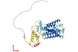 Protein Structure (PS) image for Rhomboid, Veinlet-Like 1 (RHBDL1) (AA 1-438) protein (His tag) (ABIN7551308)