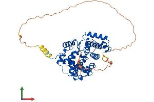 Protein Structure (PS) image for Cyclin B2 (CCNB2) (AA 1-398) protein (His tag) (ABIN7563081)