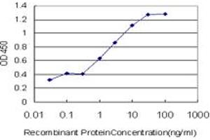 Detection limit for recombinant GST tagged BMP2K is approximately 0. (BMP2K 抗体  (AA 540-650))