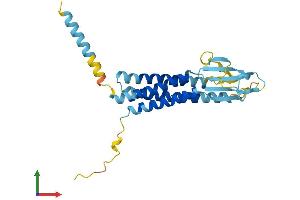Protein Structure (PS) image for Calcium Channel, Voltage-Dependent, gamma Subunit 6 (CACNG6) (AA 1-260) protein (His tag) (ABIN7559937)