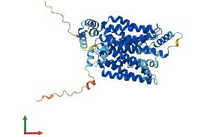 Protein Structure (PS) image for Solute Carrier Family 2 (Facilitated Glucose Transporter), Member 4 (SLC2A4) (AA 1-509) protein (His tag) (ABIN7548112)