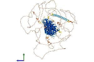 Protein Structure (PS) image for Plakophilin 4 (PKP4) (AA 1-1190) protein (His tag) (ABIN7564009)