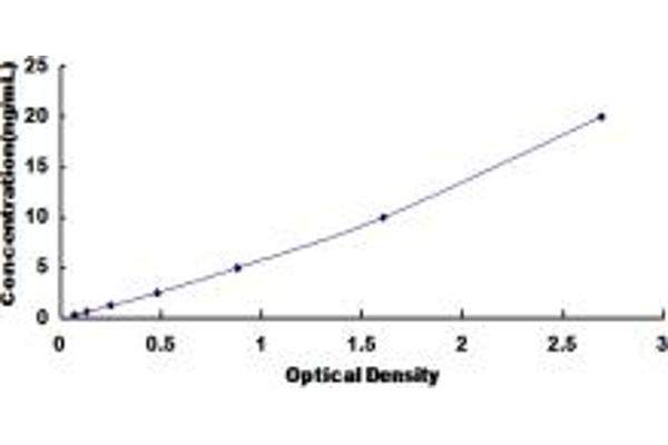 BMI1 ELISA 试剂盒