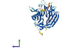 Protein Structure (PS) image for Kaptin (Actin Binding Protein) (KPTN) (AA 1-430) protein (His tag) (ABIN7559837)