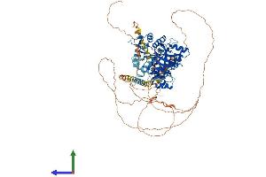 Protein Structure (PS) image for Tubulin tyrosine Ligase-Like Family, Member 6 (TTLL6) (AA 1-822) protein (His tag) (ABIN7561996)