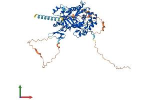 Protein Structure (PS) image for Mannosyl (Beta-1,4-)-Glycoprotein beta-1,4-N-Acetylglucosaminyltransferase (MGAT3) (AA 1-538) protein (His tag) (ABIN7556962)