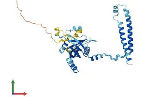 Protein Structure (PS) image for Proteasome (Prosome, Macropain) 26S Subunit, Non-ATPase, 14 (PSMD14) (AA 1-310) protein (His tag) (ABIN7551042)