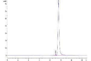 The purity of Cynomolgus NGAL is greater than 95 % as determined by SEC-HPLC.