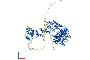 Protein Structure (PS) image for Kelch-Like 17 (KLHL17) (AA 1-642) protein (His tag) (ABIN7548904)