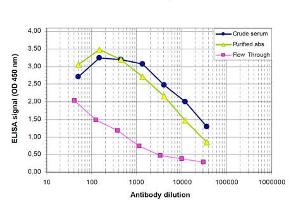 ELISA results of Rabbit anti-PHF8 antibody ELISA results of Rabbit anti-PHF8 antibody. (PHF8 抗体)