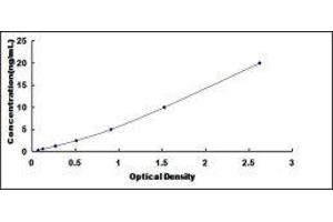 Echinoderm Microtubule Associated Protein Like 2 (EML2) ELISA Kit
